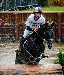 Militer Boekelo 2013 (10497543666).jpg