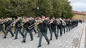 Militarymusic Parade 8.jpg