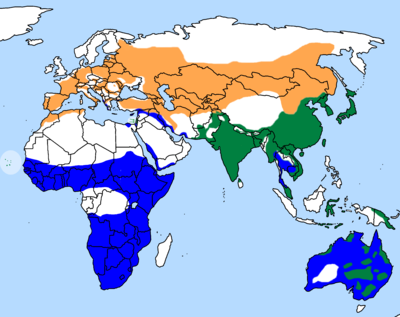 Migration Des Oiseaux Wikipedia