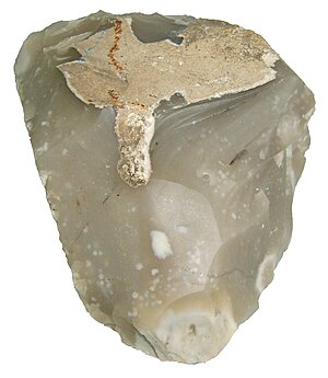 A sample of Miorcani flint