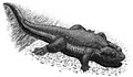Monjurosuchus