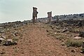 Monumental Arch, Qalat Sem'an Complex (قلعة سمعان), Syria - View from west - PHBZ024 2016 2100 - Dumbarton Oaks.jpg