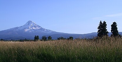 Mount Hood from Parkdale