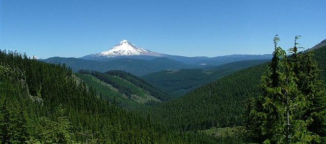Snow-covered Mount Hood in the Mount Hood National Forest