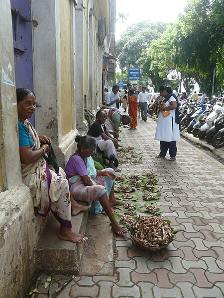 Mushroom sellers in Panjim Goa