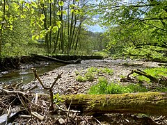 Hochwasserereignisse prägen den Eschbach im Naturschutzgebiet