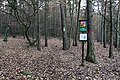 Čeština: Národní přírodní rezervace Drbákov - Albertovy skály v okrese Příbram, Česko English: National nature reserve Drbákov - Albertovy skály in Příbram District, Czech Republic Camera location 49° 43′ 05.89″ N, 14° 22′ 10.98″ E    View all coordinates using: OpenStreetMap