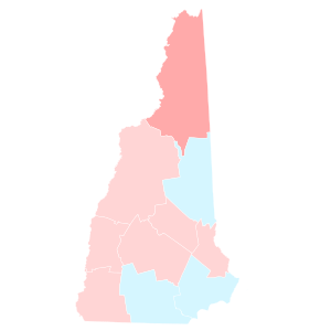 New Hampshire County Trend 2020.svg