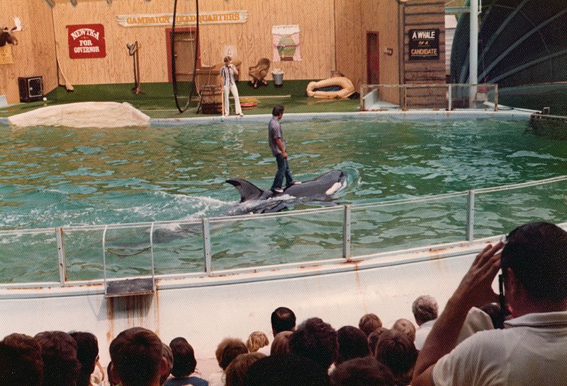 File:Newtka giving a ride during a show in the mid 1970s.jpg