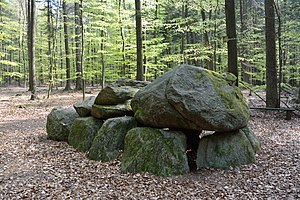 Niedersachsen, Lamstedt, im Naturschutzgebiet NIK 2758.JPG