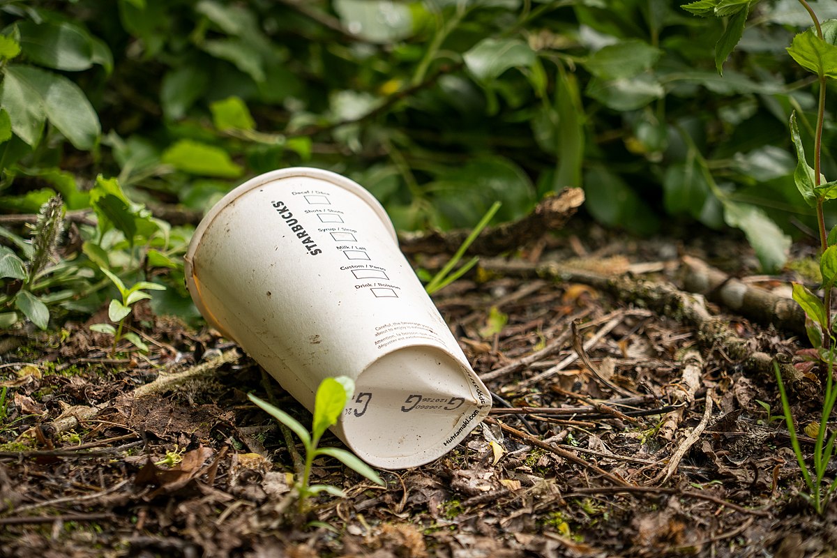 No Need to Recycle, These Disposable Coffee Cups Are Made of Dirt - CNET