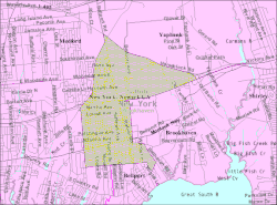 U.S. Census map of North Bellport.