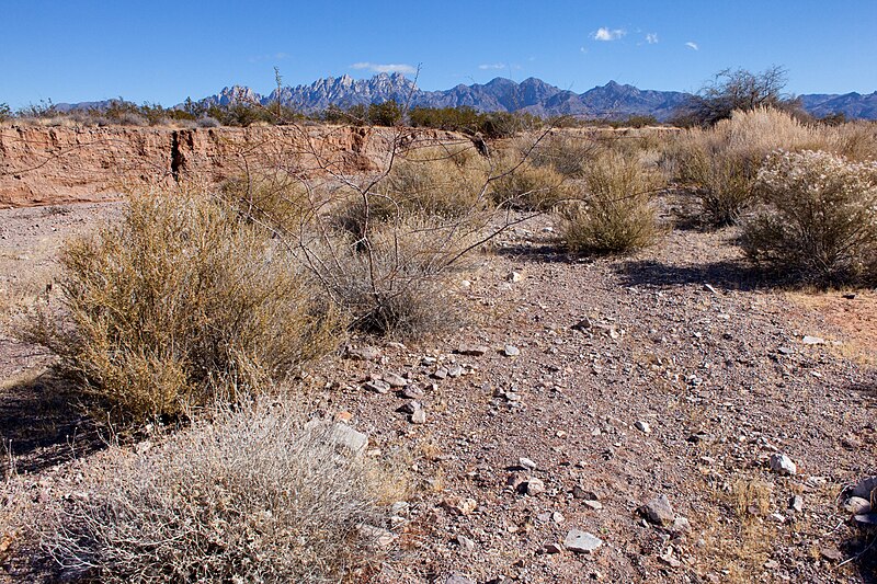 File:North side of Tortugas Mountain - Flickr - aspidoscelis (1).jpg