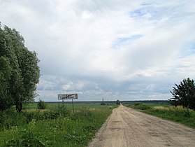 Дорога до села зі сторони с. Старий Кривин