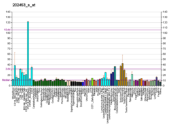 PBB GE GTF2H1 202453 s bei fs.png