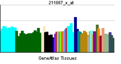 PBB GE MSR1 211887 x ĉe tn.png