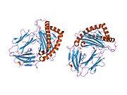 PDB 2bsu EBI.jpg