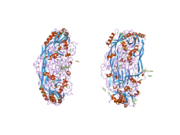 PDB 2c11 EBI.png