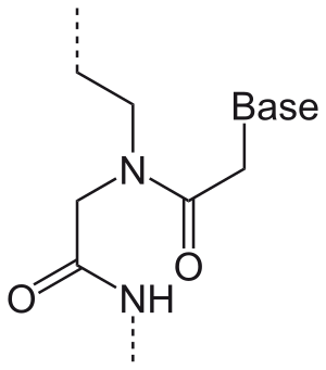 PNA-Monomer.svg