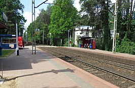 Station Podkowa Leśna Wschodnia