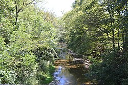 Paint Creek from Dillman Road.jpg