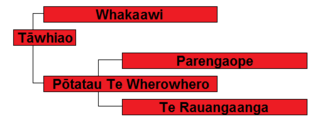 <span class="mw-page-title-main">Te Rauangaanga</span>