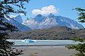 In Chile: Auch in einem Gletschersee kann es Eisberge geben.
