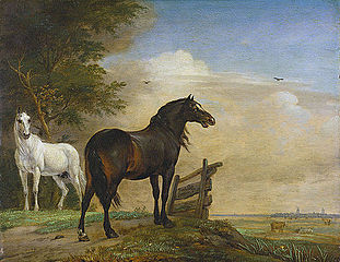 Deux chevaux dans les pâturages avec une clôture