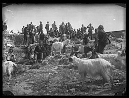 Paysans italiens et leurs chèvres, photographiés par Gabrielle Hébert vers 1895.