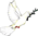 Peace dove.png