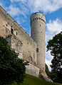 * Nomination Pikk Hermann, Toompea castle, Tallinn, Estonia. --Poco a poco 14:39, 19 July 2015 (UTC) * Promotion Good quality.--Famberhorst 15:39, 19 July 2015 (UTC)