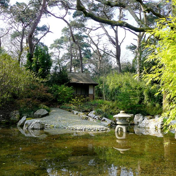 File:Pine Lodge Gardens 1 - geograph.org.uk - 1240111.jpg