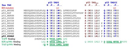 Tập_tin:Piskacek_p53b.jpg