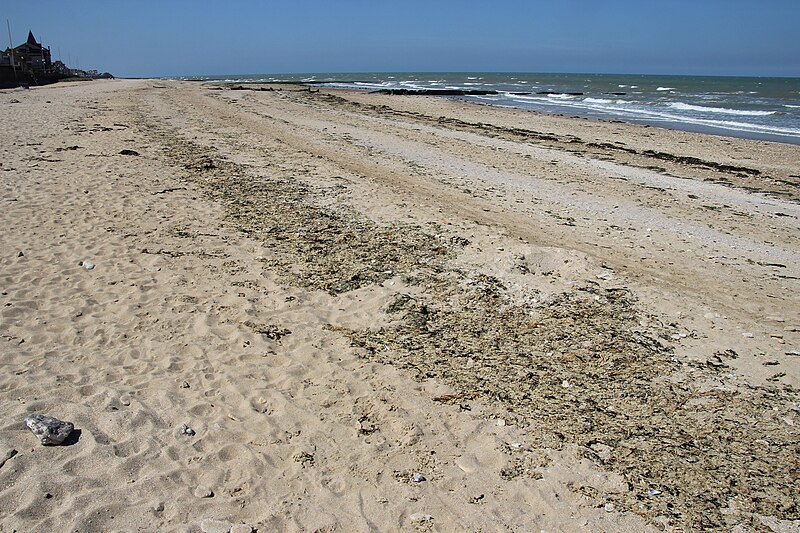 File:Plage de Saint Aubin sur Mer déserte, 19 avril 2017.jpg