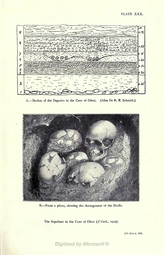 A.—Section of the Deposits in the Cave of Ofnet. (After Dr R. R. Schmidt.) B.—From a photo, showing the Arrangement of the Skulls. The Sepulture in the Cave of Ofnet (L'Anth., 1909). [To face p. 260.