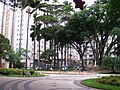 Praça Carlos Gomes