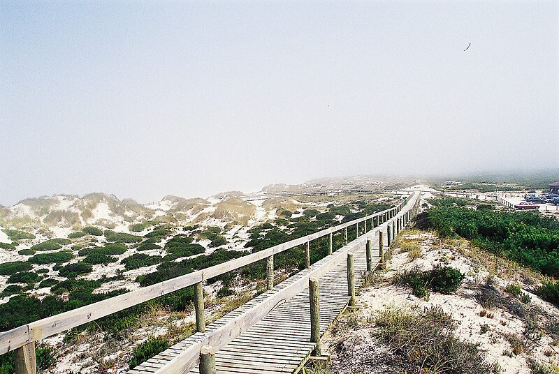File:Praia do Osso da Baleia (Portugal).jpg