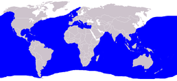 Rozšíření (modrá)
