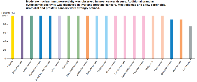 WWTR1 protein is expressed in moderate to high levels across a diverse array of cancer types and is associated with poor clinical outcomes.