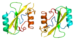 Ақуыз GRB10 PDB 1nrv.png