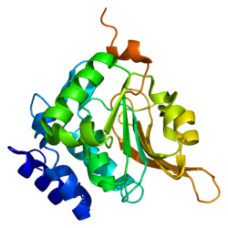 Протеин PCMT1 PDB 1i1n.png