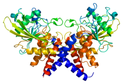 PTPRN ақуызы PDB 2i1y.png