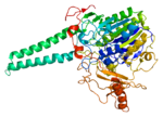 Thumbnail for Steroid sulfatase