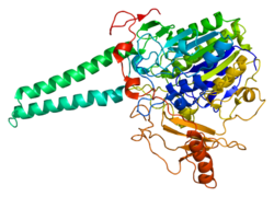 Protein STS PDB 1p49.png