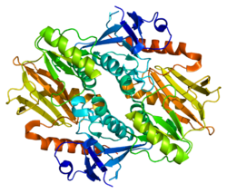 Ақуыз SYN3 PDB 2p0a.png