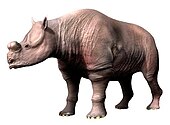 Life restoration of the Eocene brontothere mammal Protitanops Protitanops NT small.jpg