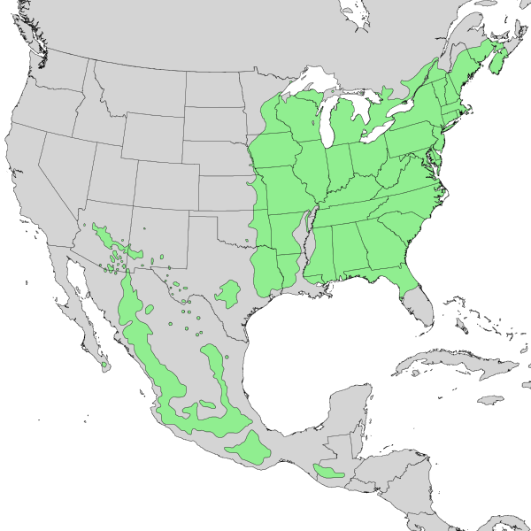 File:Prunus serotina range map 1.png