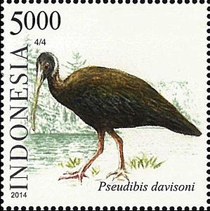 Pseudibis davisoni 2014 stamp of Indonesia.jpg