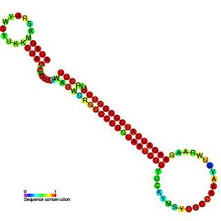 CopA-like RNA