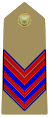 IT-Armee-OR4b-avio.svg